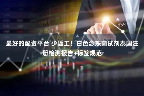 最好的配资平台 少返工！白色念珠菌试剂泰国注册检测报告+标签规范