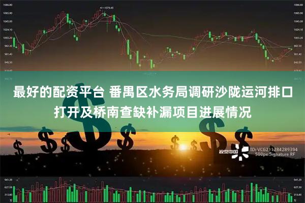 最好的配资平台 番禺区水务局调研沙陇运河排口打开及桥南查缺补漏项目进展情况